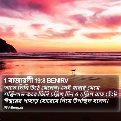 1 ৰাজাৱলী 19:8 BENIRV Bible Verse Image