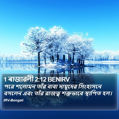 1 ৰাজাৱলী 2:12 BENIRV Bible Verse Image