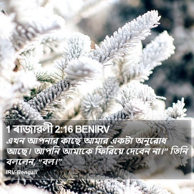 1 ৰাজাৱলী 2:16 BENIRV Bible Verse Image