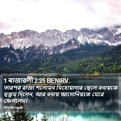 1 ৰাজাৱলী 2:25 BENIRV Bible Verse Image