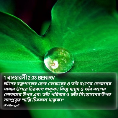 1 ৰাজাৱলী 2:33 BENIRV Bible Verse Image