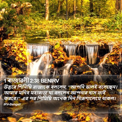 1 ৰাজাৱলী 2:38 BENIRV Bible Verse Image
