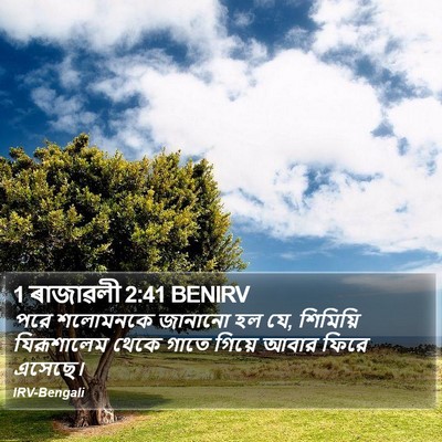 1 ৰাজাৱলী 2:41 BENIRV Bible Verse Image
