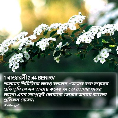 1 ৰাজাৱলী 2:44 BENIRV Bible Verse Image