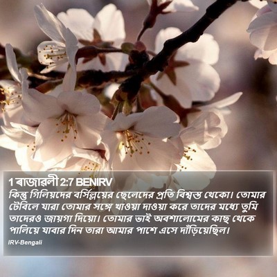 1 ৰাজাৱলী 2:7 BENIRV Bible Verse Image