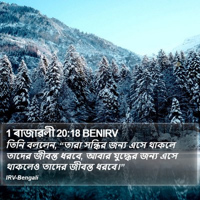 1 ৰাজাৱলী 20:18 BENIRV Bible Verse Image