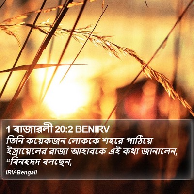 1 ৰাজাৱলী 20:2 BENIRV Bible Verse Image