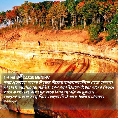 1 ৰাজাৱলী 20:20 BENIRV Bible Verse Image