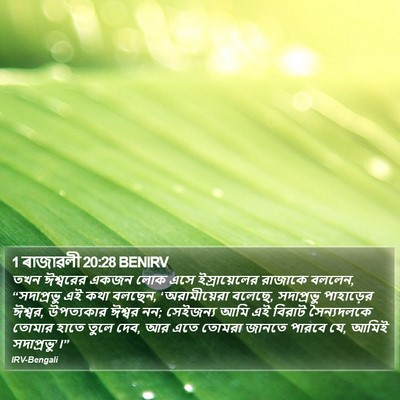 1 ৰাজাৱলী 20:28 BENIRV Bible Verse Image