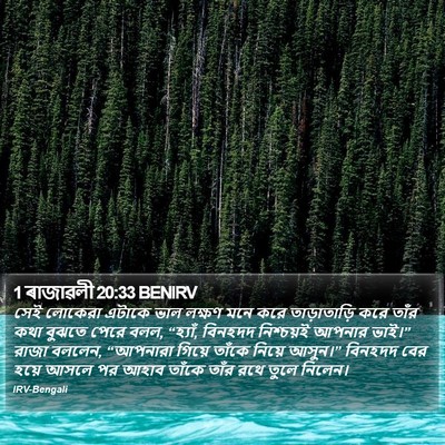 1 ৰাজাৱলী 20:33 BENIRV Bible Verse Image