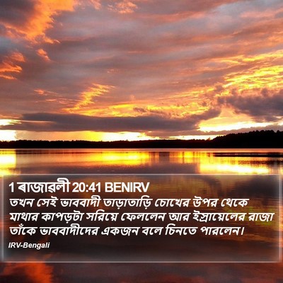 1 ৰাজাৱলী 20:41 BENIRV Bible Verse Image