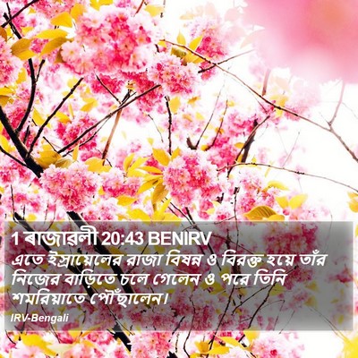 1 ৰাজাৱলী 20:43 BENIRV Bible Verse Image