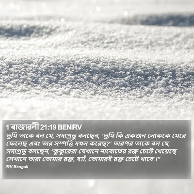 1 ৰাজাৱলী 21:19 BENIRV Bible Verse Image