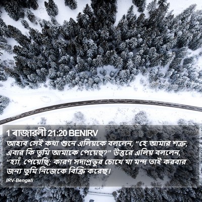 1 ৰাজাৱলী 21:20 BENIRV Bible Verse Image