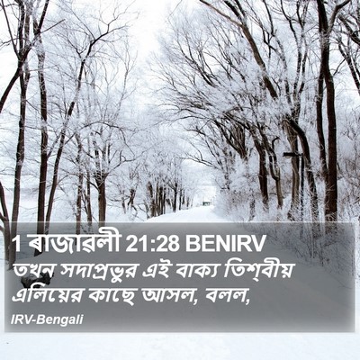1 ৰাজাৱলী 21:28 BENIRV Bible Verse Image
