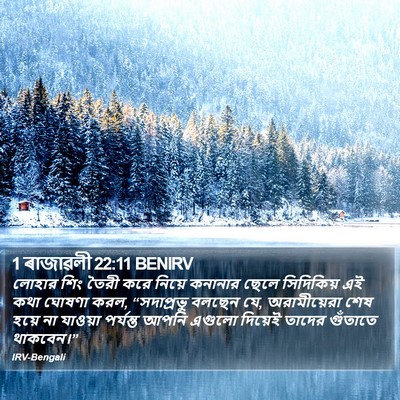 1 ৰাজাৱলী 22:11 BENIRV Bible Verse Image