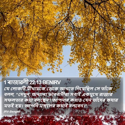1 ৰাজাৱলী 22:13 BENIRV Bible Verse Image