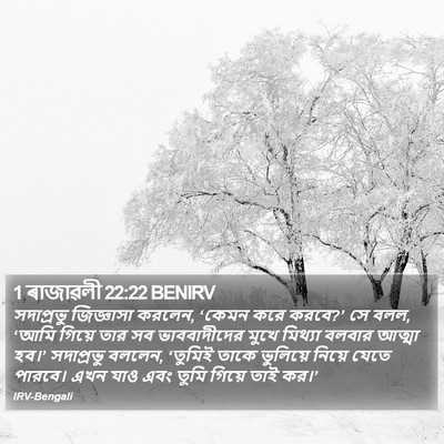 1 ৰাজাৱলী 22:22 BENIRV Bible Verse Image