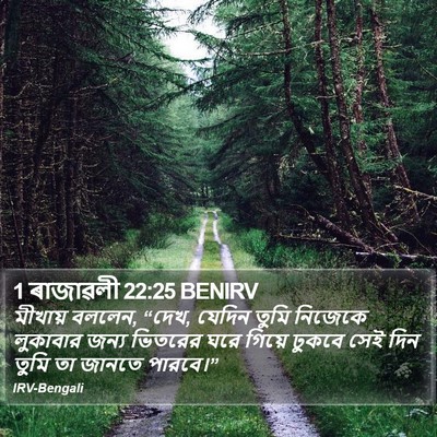 1 ৰাজাৱলী 22:25 BENIRV Bible Verse Image