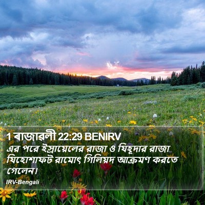 1 ৰাজাৱলী 22:29 BENIRV Bible Verse Image