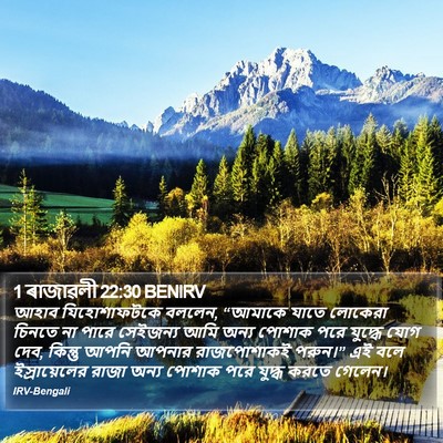 1 ৰাজাৱলী 22:30 BENIRV Bible Verse Image