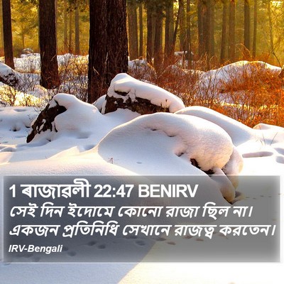 1 ৰাজাৱলী 22:47 BENIRV Bible Verse Image