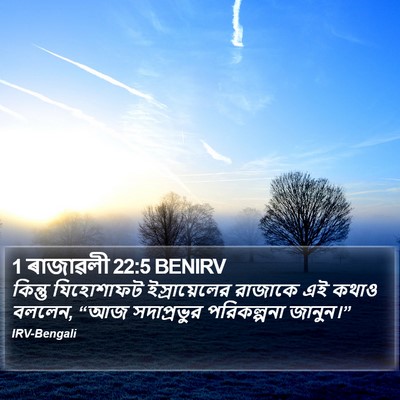 1 ৰাজাৱলী 22:5 BENIRV Bible Verse Image