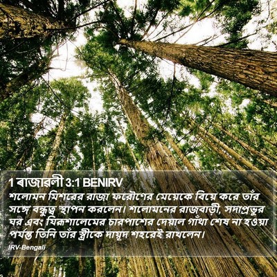 1 ৰাজাৱলী 3:1 BENIRV Bible Verse Image