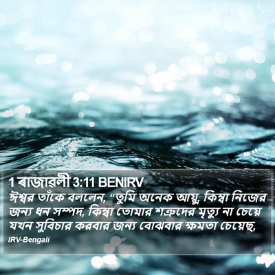 1 ৰাজাৱলী 3:11 BENIRV Bible Verse Image
