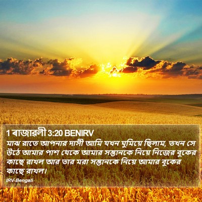 1 ৰাজাৱলী 3:20 BENIRV Bible Verse Image