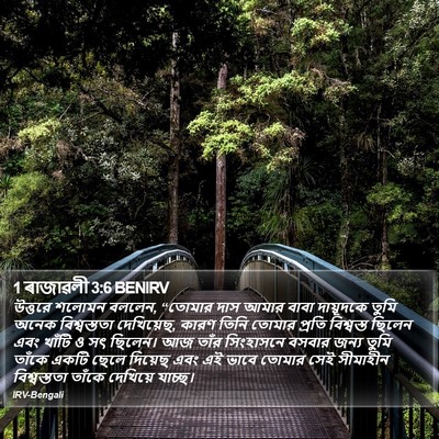 1 ৰাজাৱলী 3:6 BENIRV Bible Verse Image