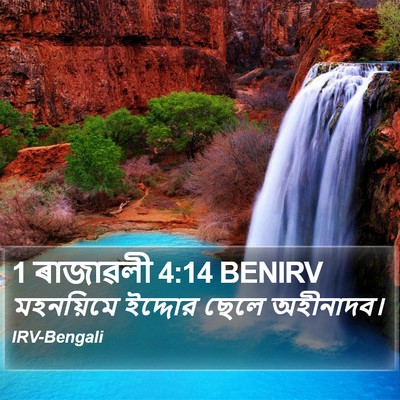1 ৰাজাৱলী 4:14 BENIRV Bible Verse Image