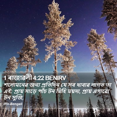 1 ৰাজাৱলী 4:22 BENIRV Bible Verse Image