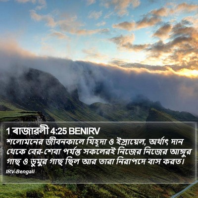 1 ৰাজাৱলী 4:25 BENIRV Bible Verse Image