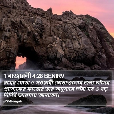1 ৰাজাৱলী 4:28 BENIRV Bible Verse Image