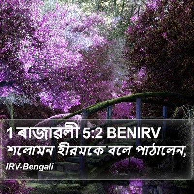 1 ৰাজাৱলী 5:2 BENIRV Bible Verse Image