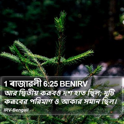 1 ৰাজাৱলী 6:25 BENIRV Bible Verse Image