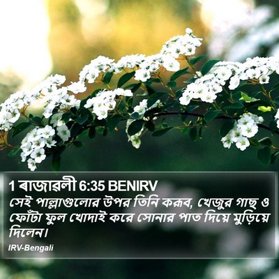 1 ৰাজাৱলী 6:35 BENIRV Bible Verse Image