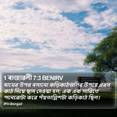 1 ৰাজাৱলী 7:3 BENIRV Bible Verse Image