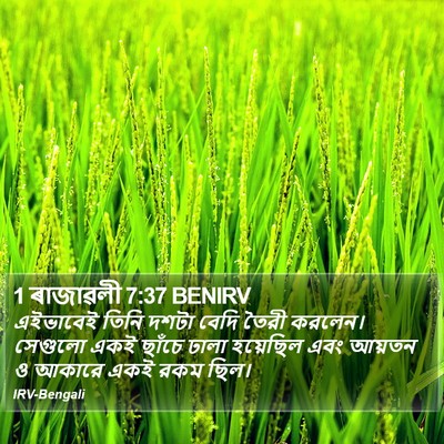 1 ৰাজাৱলী 7:37 BENIRV Bible Verse Image