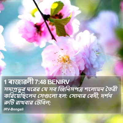 1 ৰাজাৱলী 7:48 BENIRV Bible Verse Image