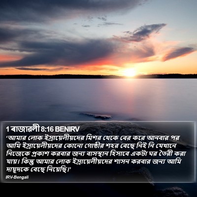 1 ৰাজাৱলী 8:16 BENIRV Bible Verse Image