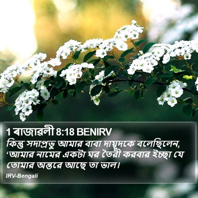 1 ৰাজাৱলী 8:18 BENIRV Bible Verse Image