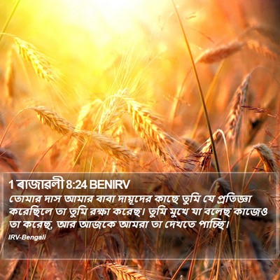 1 ৰাজাৱলী 8:24 BENIRV Bible Verse Image