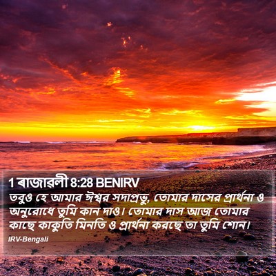 1 ৰাজাৱলী 8:28 BENIRV Bible Verse Image