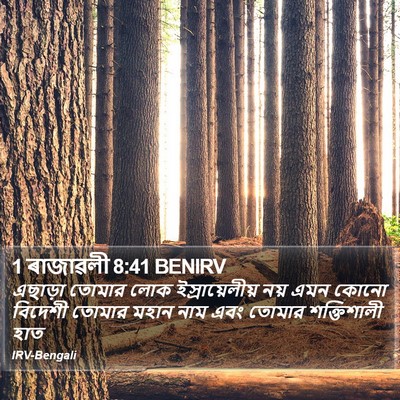 1 ৰাজাৱলী 8:41 BENIRV Bible Verse Image