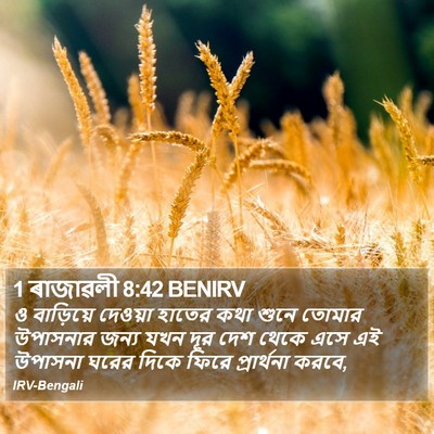 1 ৰাজাৱলী 8:42 BENIRV Bible Verse Image