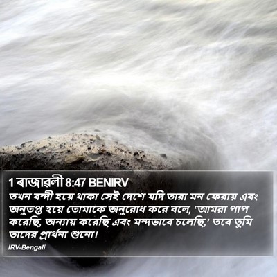 1 ৰাজাৱলী 8:47 BENIRV Bible Verse Image