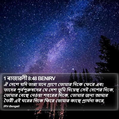 1 ৰাজাৱলী 8:48 BENIRV Bible Verse Image