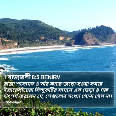 1 ৰাজাৱলী 8:5 BENIRV Bible Verse Image